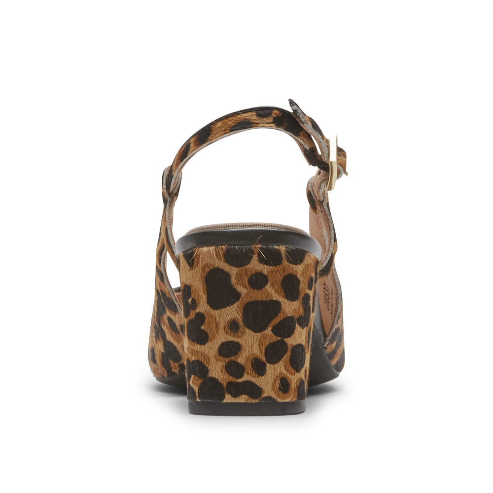 Rockport Womens Total Motion Salima Posted - Slingback Leopard - UIL905742